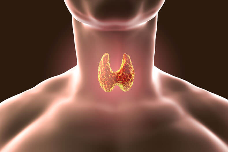 Thyroid Specialist Perth – symptoms and treatment