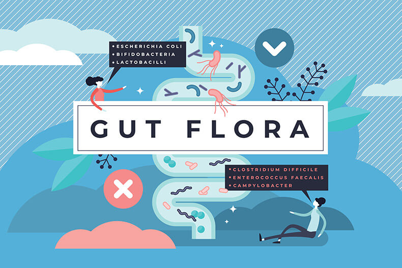 Bacterial Overgrowth and Leaky Gut
