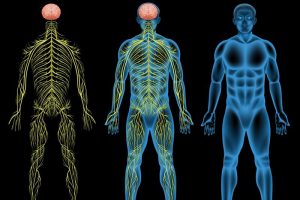 Nervous system disorders
