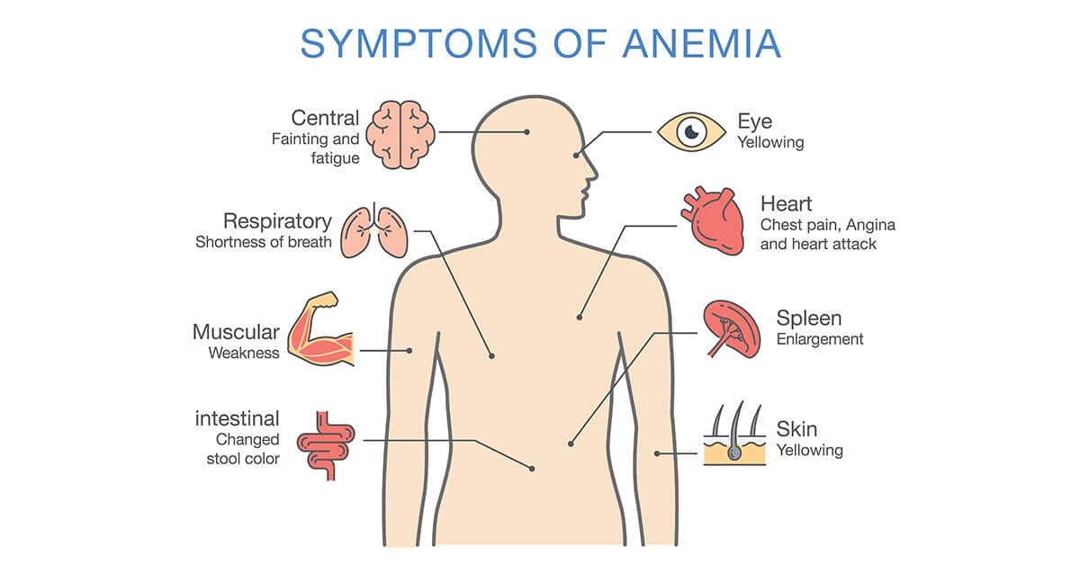 Causes of B12 deficiency and how its related to MTHFR?