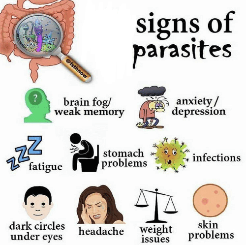 Symptoms of parasite infection