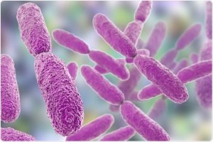 Treatment of Klebsiella bacteria and its symptoms