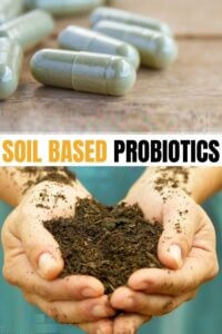 Benefits of spore forming probiotics & soil based probiotics