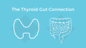 The Gut-Thyroid Connection