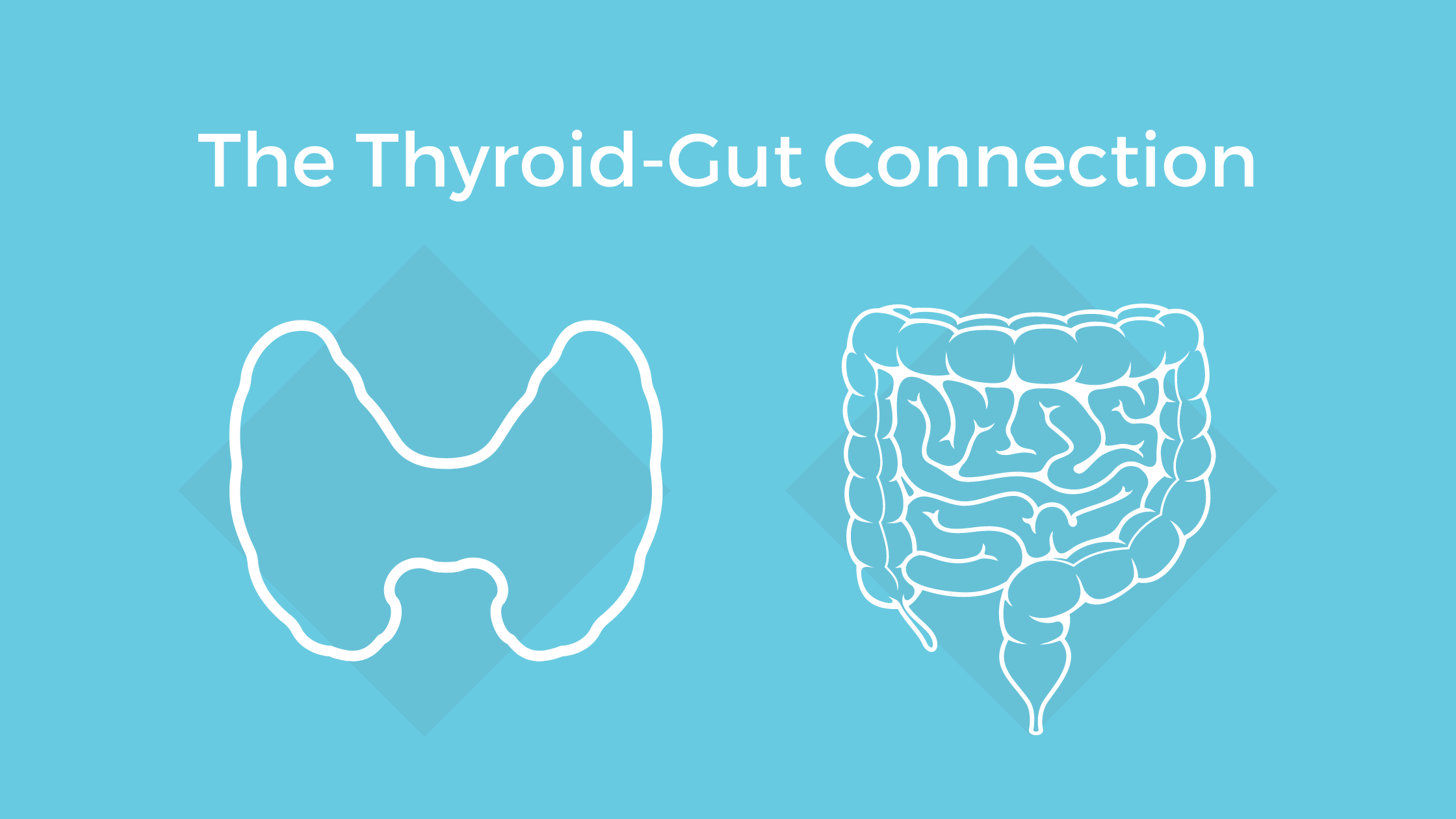 The Gut Thyroid Connection Functional Medicine